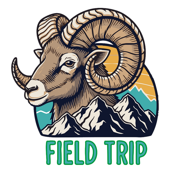 Sports Spirit Wear Demo Store