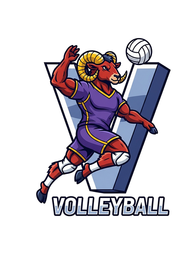 Sports Spirit Wear Demo Store